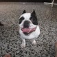 Sin boca va el peke...